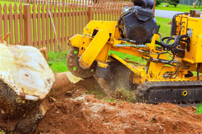 Commercial Stump Grinding in Prince Georges County, MD