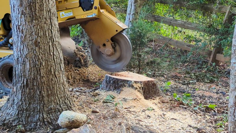 Stump Grinding Service