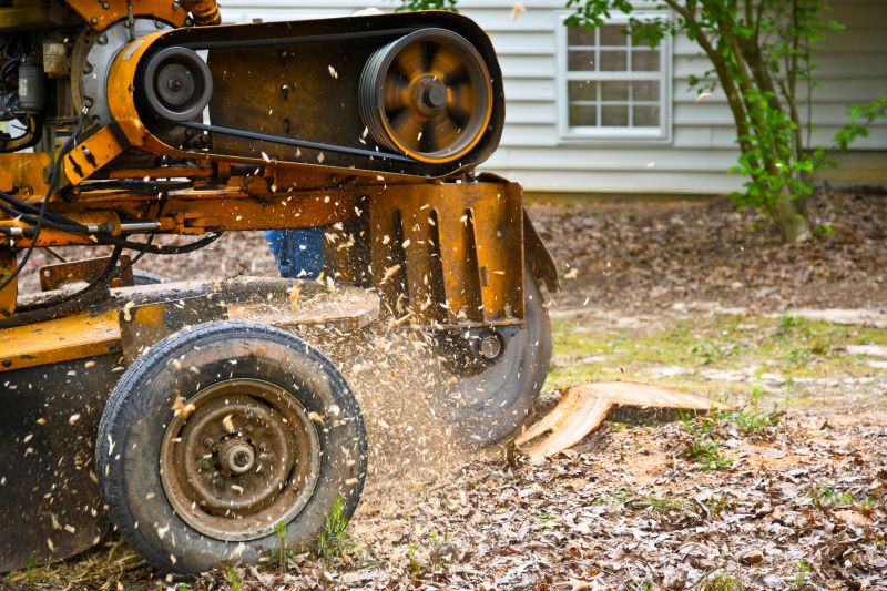 Stump Grinding Service